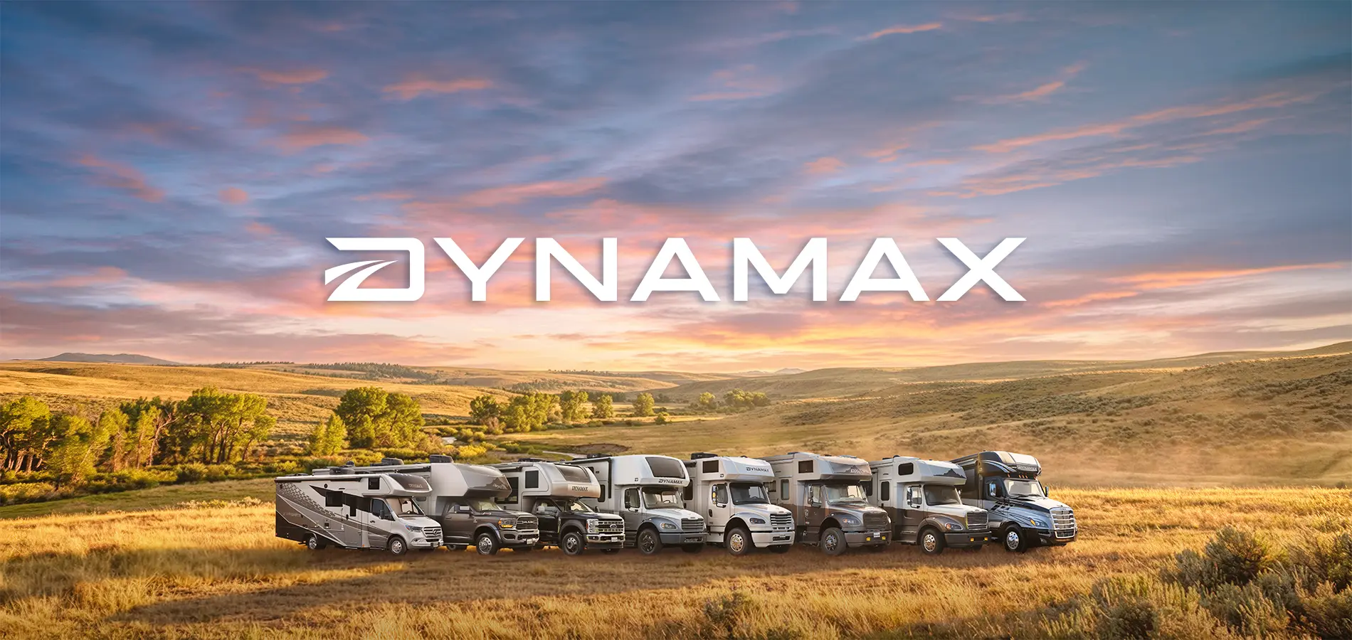 Dynamax